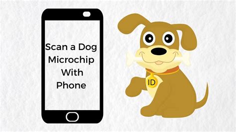 how to check for rfid chips|scan pet microchip with phone.